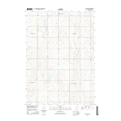 2015 Map of Bitter Lake, 2015 Print