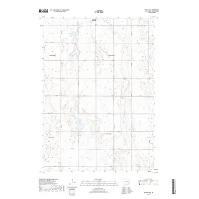 2017 Map of Bitter Lake, 2017 Print
