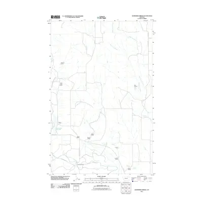 2011 Map of Bjornberg Bridge, 2011 Print
