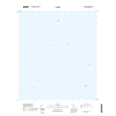 2020 Map of Black Bay South, 2020 Print