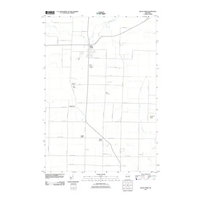 2010 Map of Black Creek, 2010 Print