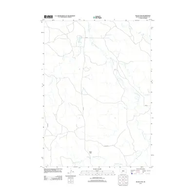 2012 Map of Black Eyes, 2012 Print