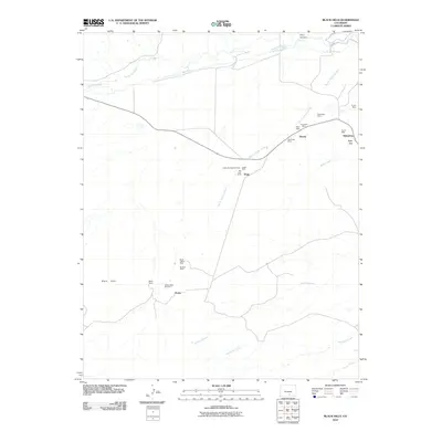 2010 Map of Black Hills, 2010 Print