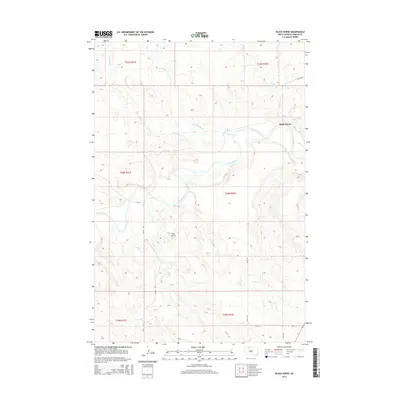 2015 Map of Black Horse, 2015 Print