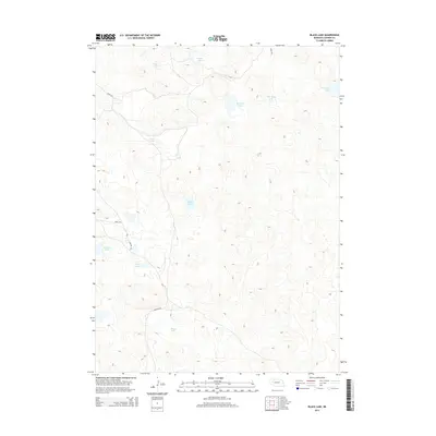 2014 Map of Black Lake, 2014 Print