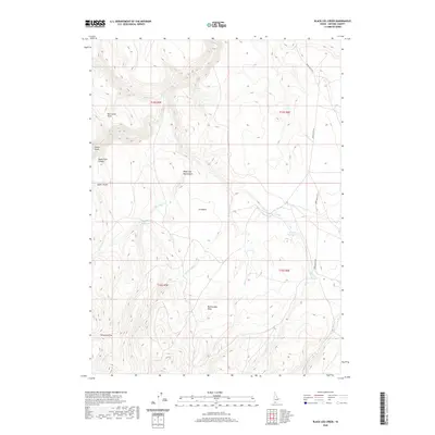 2020 Map of Black Leg Creek, 2020 Print