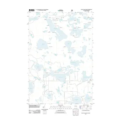2011 Map of Black Oak Lake, 2011 Print