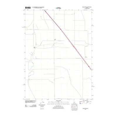 2010 Map of Black Pine, 2010 Print