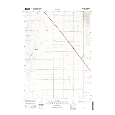 2013 Map of Black Pine, 2013 Print
