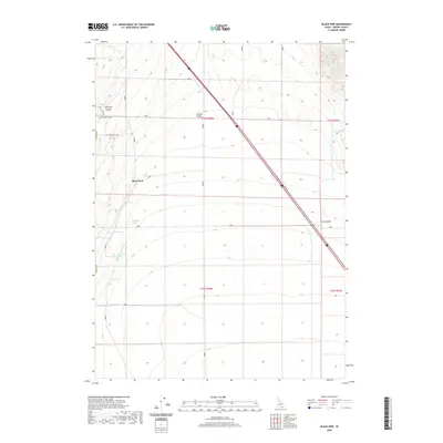 2020 Map of Black Pine, 2020 Print