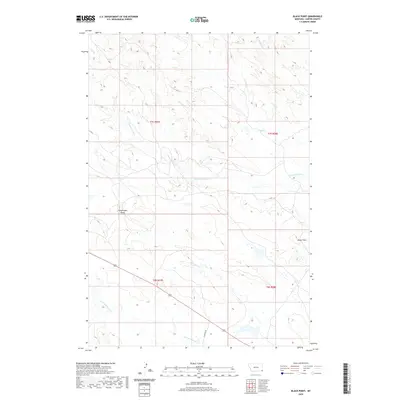 2020 Map of Black Point, 2020 Print