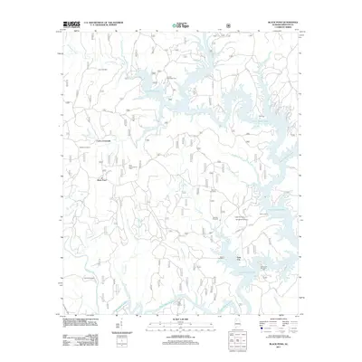 2011 Map of Black Pond, 2011 Print