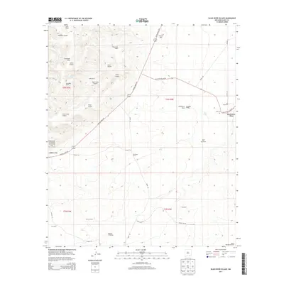 2013 Map of Black River Village, 2013 Print