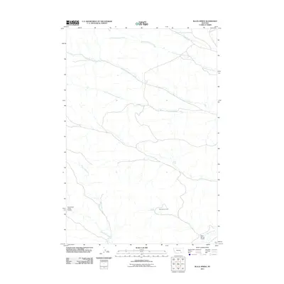 2011 Map of Black Spring, 2011 Print