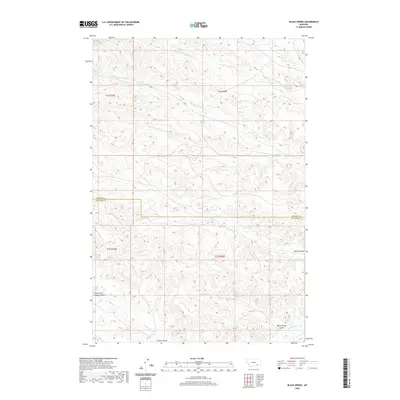 2020 Map of Black Spring, 2020 Print