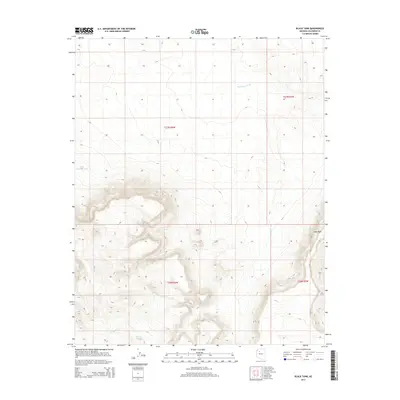 2014 Map of Black Tank, 2014 Print