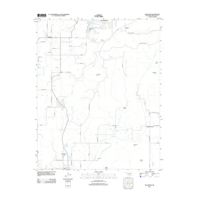2012 Map of Blackgum, 2012 Print