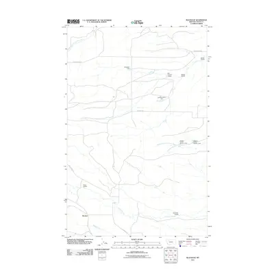 2011 Map of Blackleaf, 2011 Print