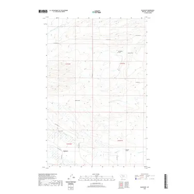 2020 Map of Blackleaf, 2020 Print