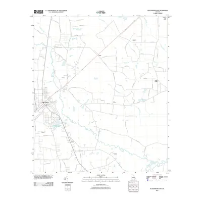 2011 Map of Blackshear East, 2011 Print