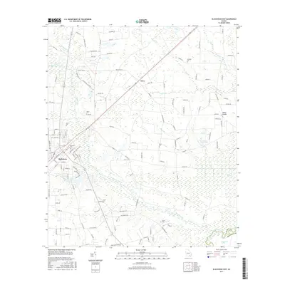 2017 Map of Blackshear East, 2017 Print
