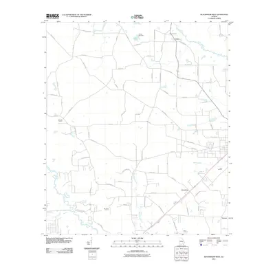 2011 Map of Blackshear West, 2011 Print