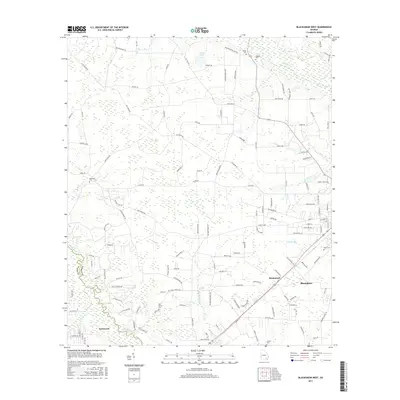 2017 Map of Blackshear West, 2017 Print