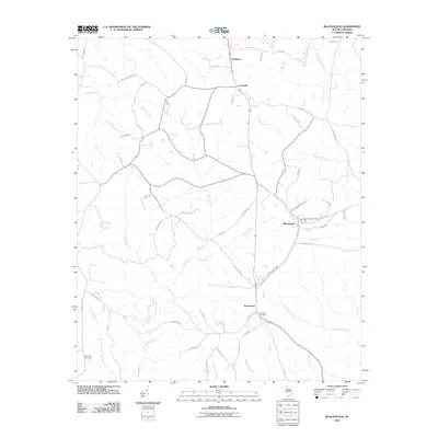 2011 Map of Blackstock, 2011 Print