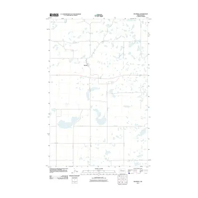 2011 Map of Blaisdell, 2011 Print