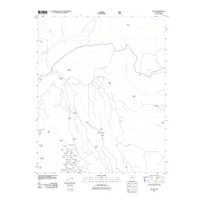 2011 Map of Bland, 2011 Print