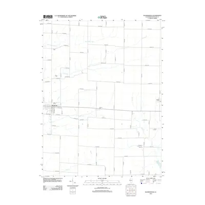 2012 Map of Blandinsville, 2012 Print