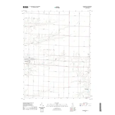 2021 Map of Blandinsville, 2021 Print