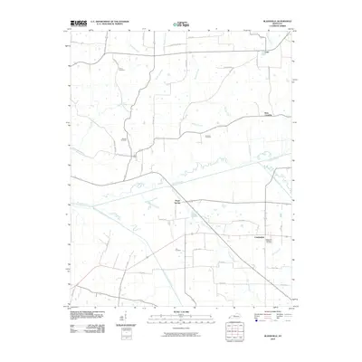 2010 Map of Blandville, 2010 Print