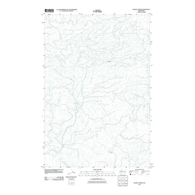 2011 Map of Blaney Creek, 2011 Print
