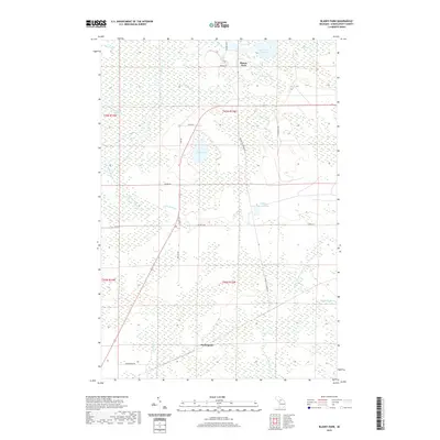 2019 Map of Blaney Park, 2019 Print