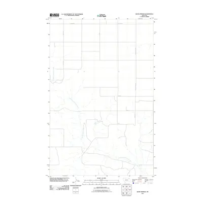 2011 Map of Blink Springs, 2011 Print