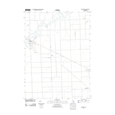 2011 Map of Blissfield, 2011 Print