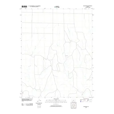 2009 Map of Bloom SW, 2009 Print