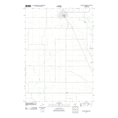 2010 Map of Blooming Prairie, 2010 Print