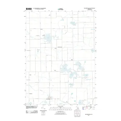 2011 Map of Bloomingdale, 2011 Print