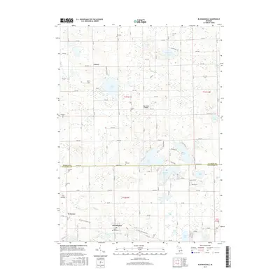 2017 Map of Bloomingdale, 2017 Print