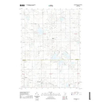 2019 Map of Bloomingdale, 2019 Print