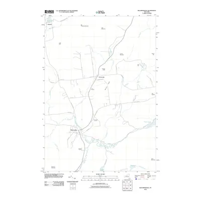 2010 Map of Bloomingdale, 2010 Print