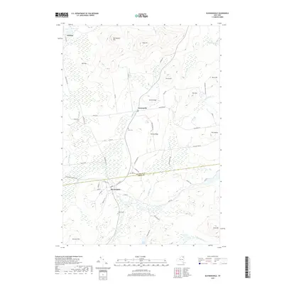 2019 Map of Bloomingdale, 2019 Print