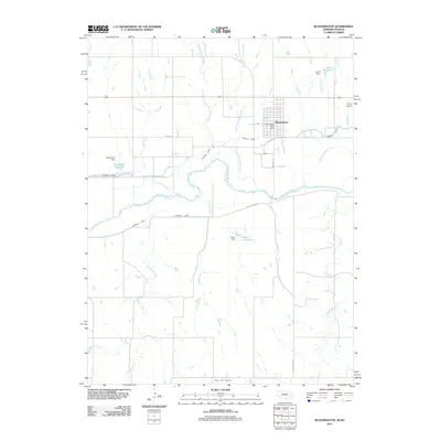 2011 Map of Bloomington, 2011 Print