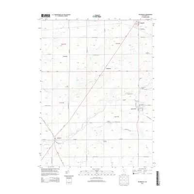 2013 Map of Bloomville, 2013 Print