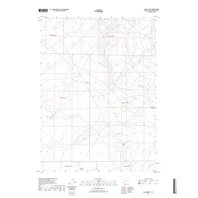 2017 Map of Blue Forest, 2017 Print