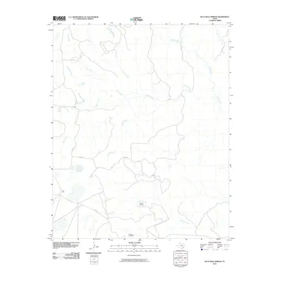 2010 Map of Blue Hole Springs, 2010 Print