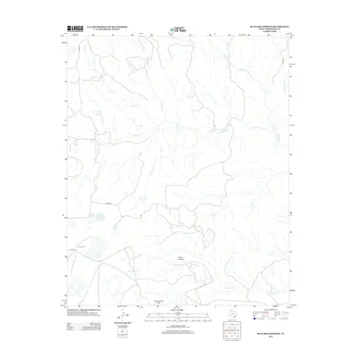 2012 Map of Blue Hole Springs, 2012 Print