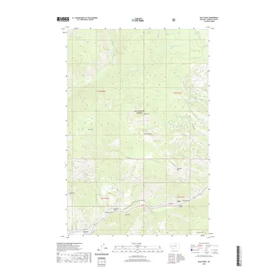 2020 Map of Blue Point, 2020 Print
